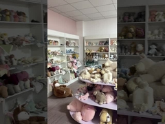 Özel Plüş Çocuklar Oyun Dinosaur Bebek Doğum Günü Hediyeleri Mikro Terry Dolu Dinosaur Plüş Oyuncağı